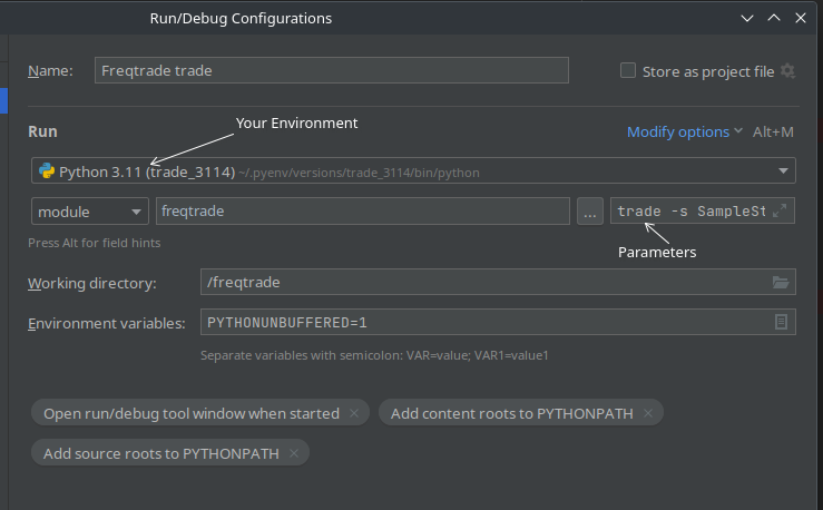 Pycharm debug configuration